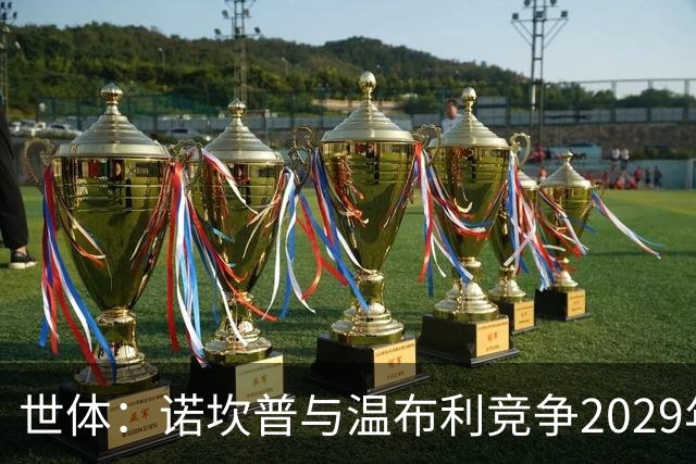 世体：诺坎普与温布利竞争2029年欧冠决赛承办权